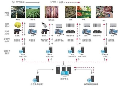 食品安全防偽追溯系統(tǒng)軟件設計開發(fā)解決方案